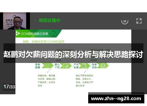 赵鹏对欠薪问题的深刻分析与解决思路探讨