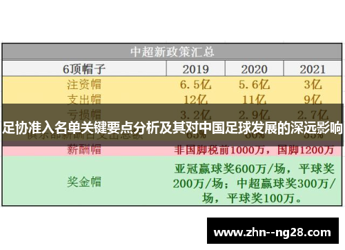 足协准入名单关键要点分析及其对中国足球发展的深远影响