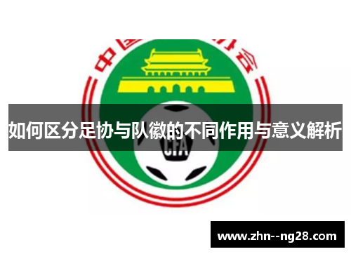 如何区分足协与队徽的不同作用与意义解析