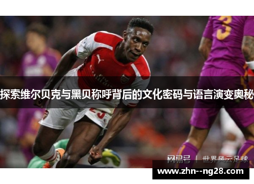 探索维尔贝克与黑贝称呼背后的文化密码与语言演变奥秘