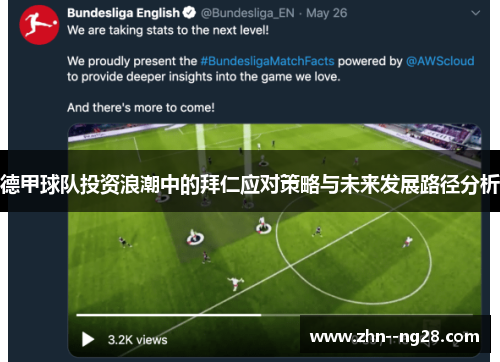 德甲球队投资浪潮中的拜仁应对策略与未来发展路径分析