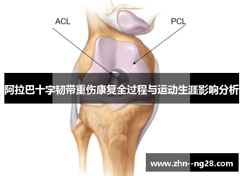 阿拉巴十字韧带重伤康复全过程与运动生涯影响分析