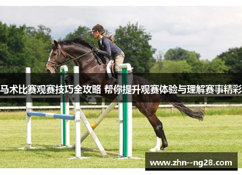 马术比赛观赛技巧全攻略 帮你提升观赛体验与理解赛事精彩